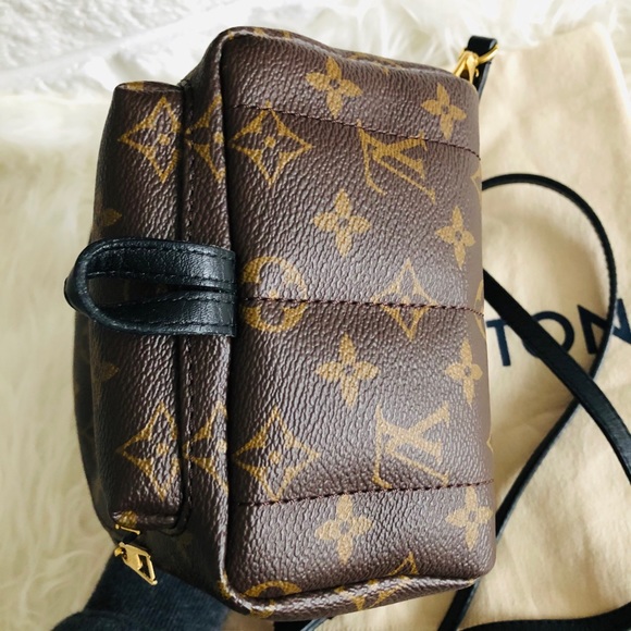 ‼️sold‼️Louis Vuitton Palm Springs Mini Monogram - Picture 6 of 12